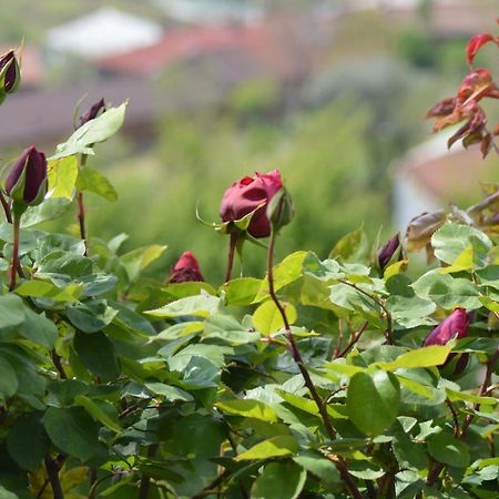 Busca L'Uovo E La Faina B&B 외부 사진